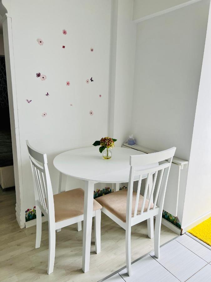 Panoramic M&M Apartment Suceava Extérieur photo